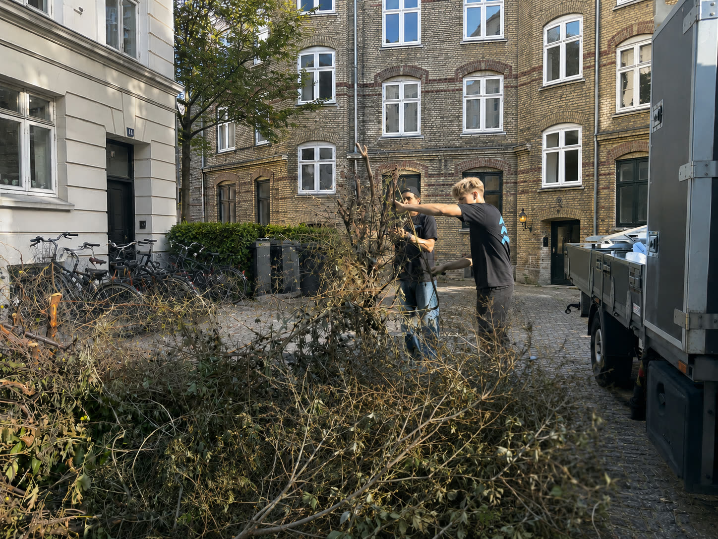 Beskæring og oprydning i en københavnsk gårdhave